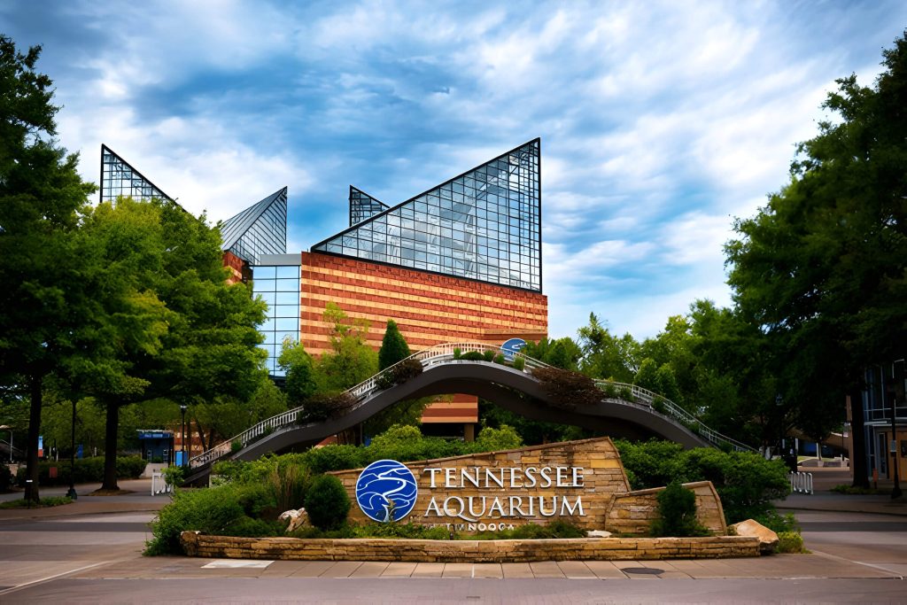 Dive Into History At The Tennessee Aquarium